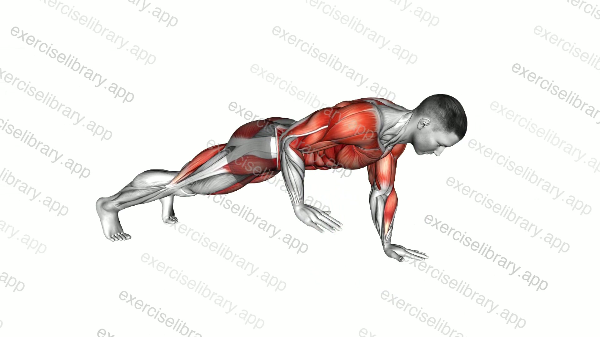 Plank Row demonstration