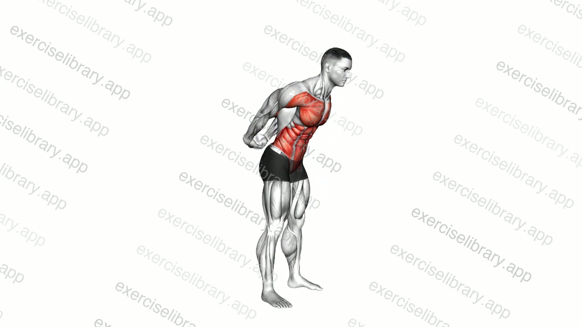 Forward Bend Back Stretch demonstration