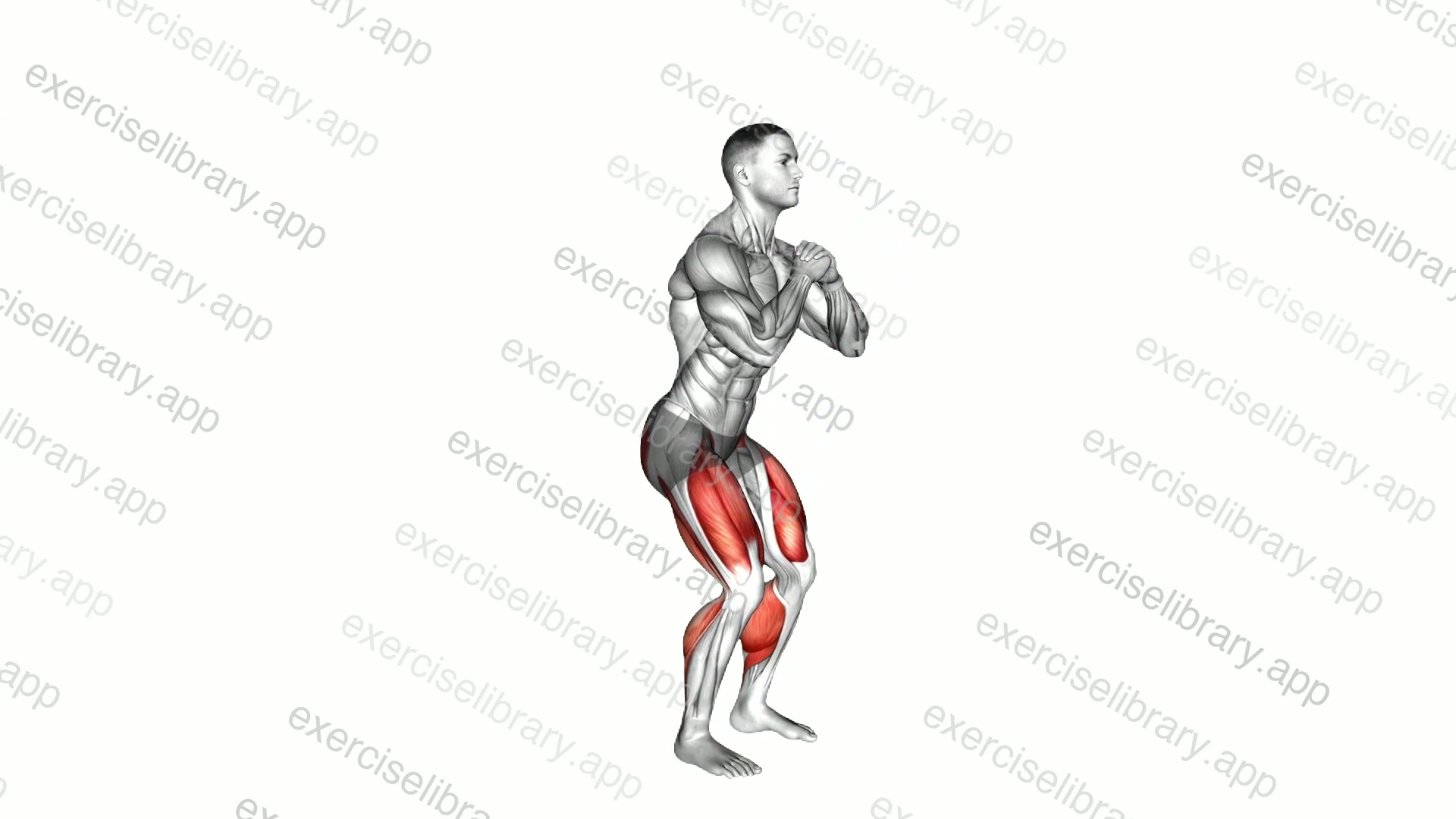 Chair Squat to Toe Stand demonstration