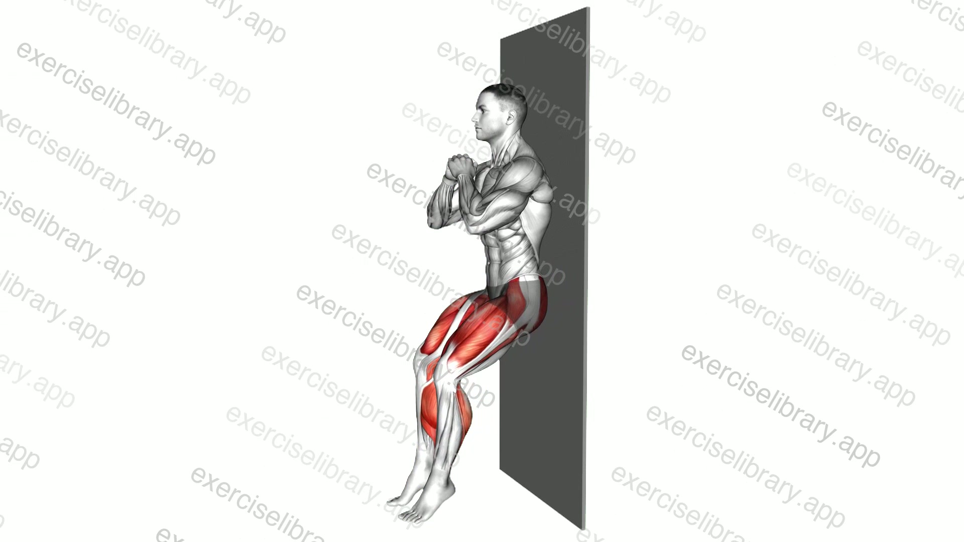 Knees and Toes Point Out Squat Slide Wall demonstration
