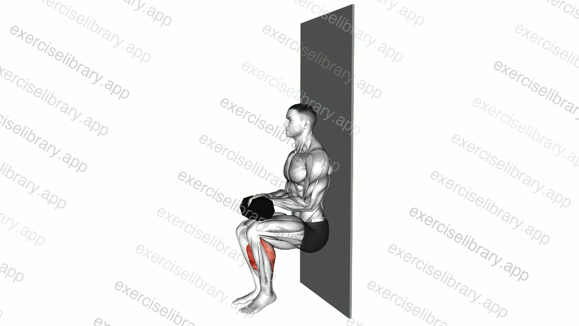 Chair Sit Alternate Heel Raise against Wall demonstration