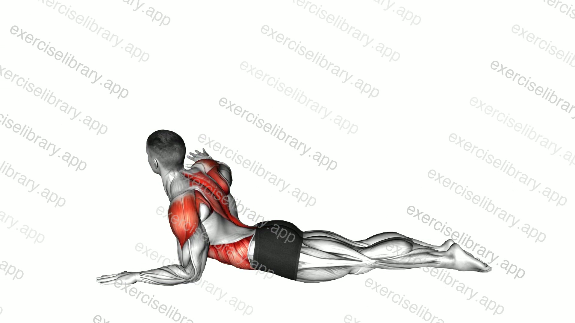 Sphinx Pose Twist demonstration