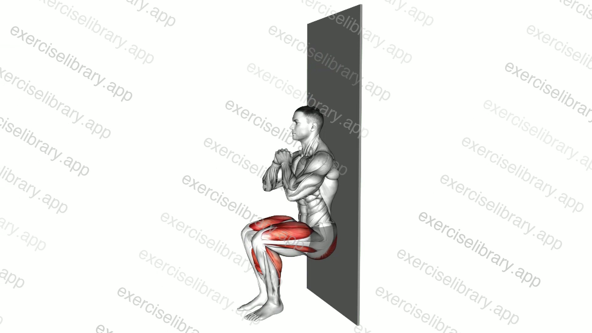 Double Heel Lift Sit against Wall demonstration