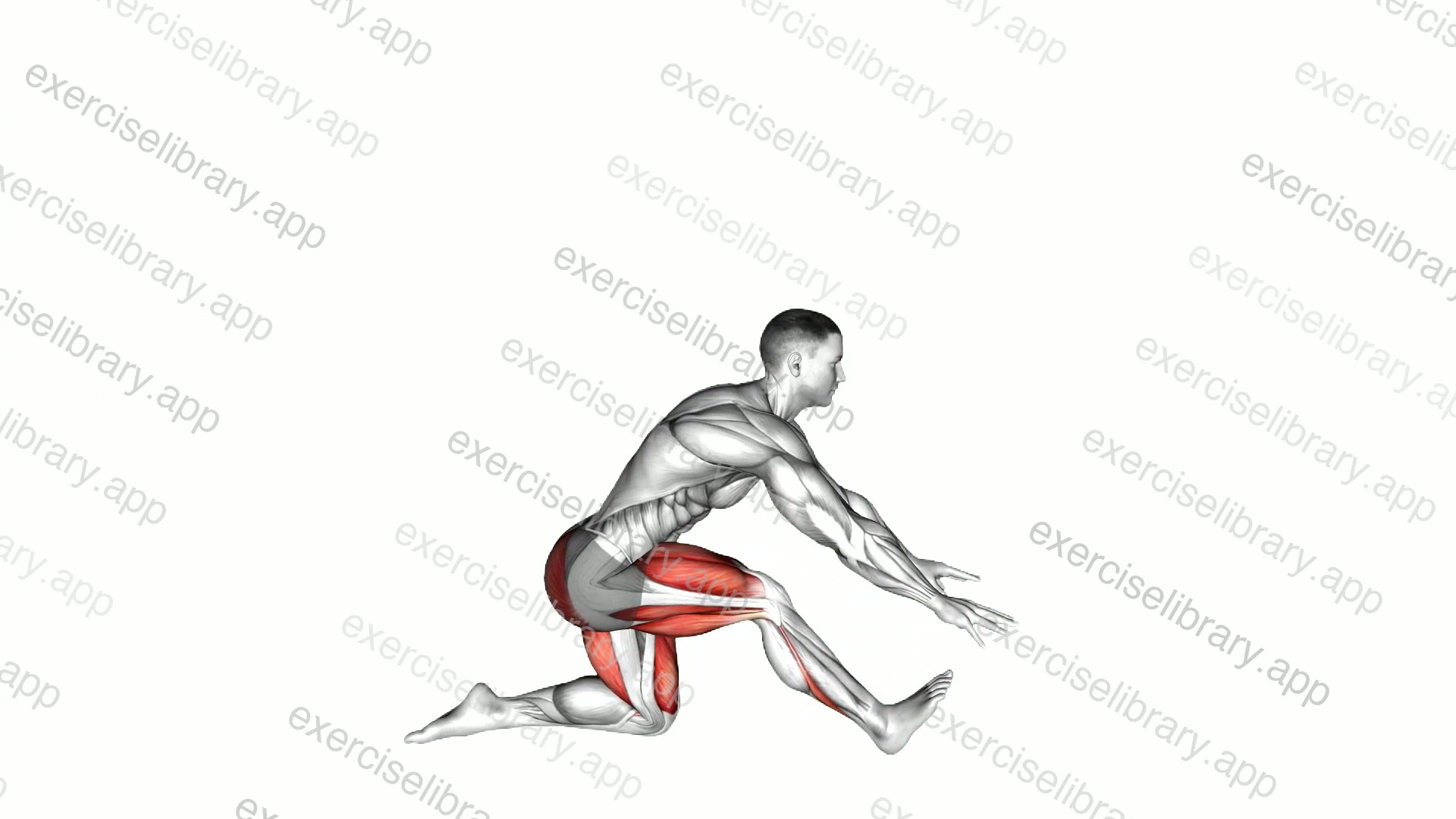 Low Lunge to Hamstring Stretch demonstration