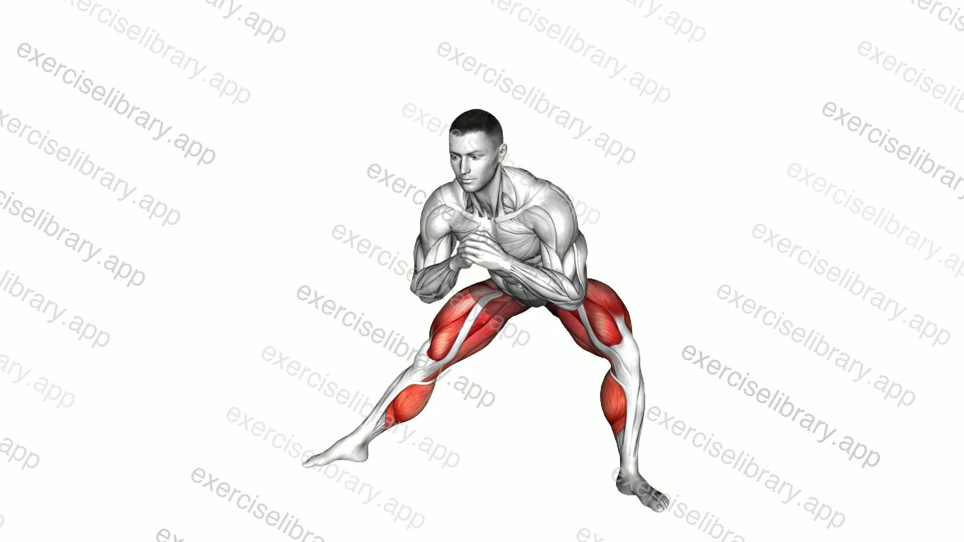 Side Lunge Stretch demonstration