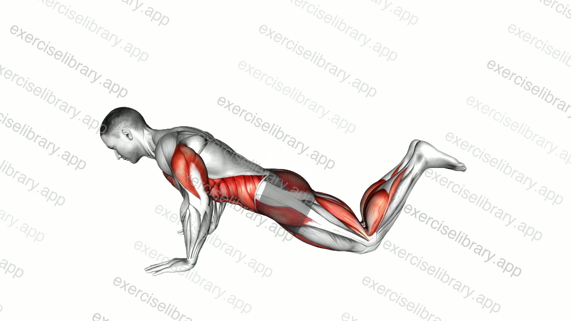 Kneeling Push-up to Hovering Table Top demonstration