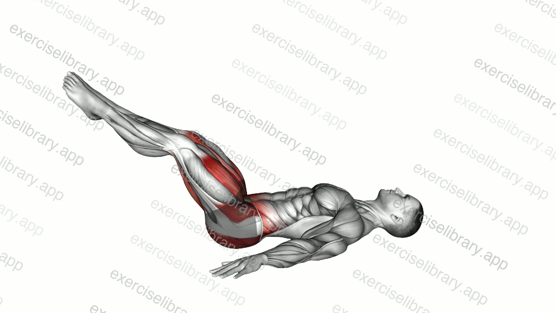 Lying Frog Crunch Feet Together demonstration