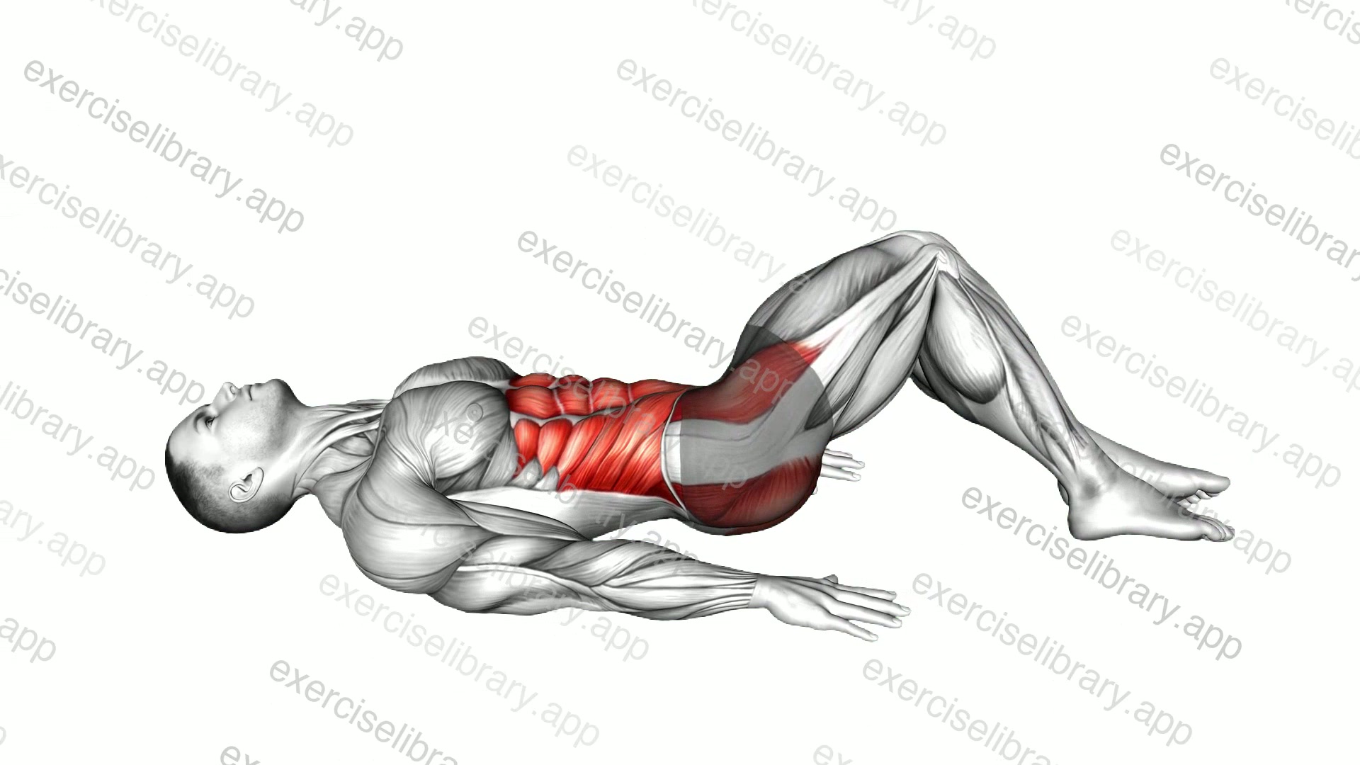Lying Hip Internal Rotation demonstration
