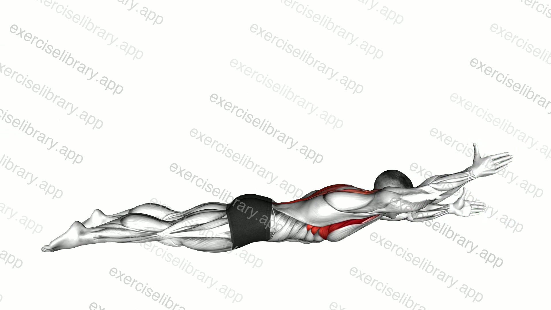 Lying Alternate Back Raise demonstration