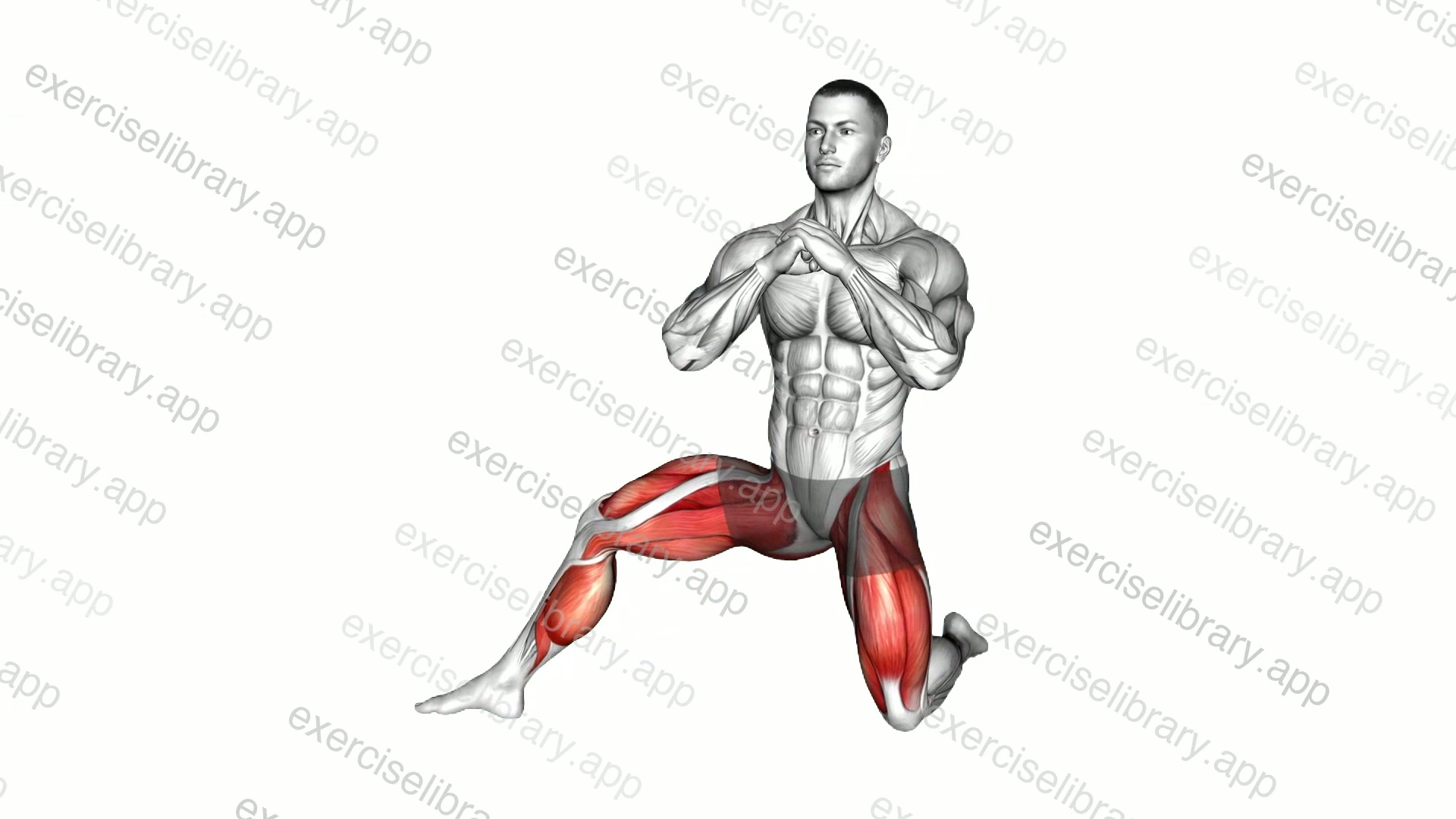 Half Kneeling Side Lunge demonstration