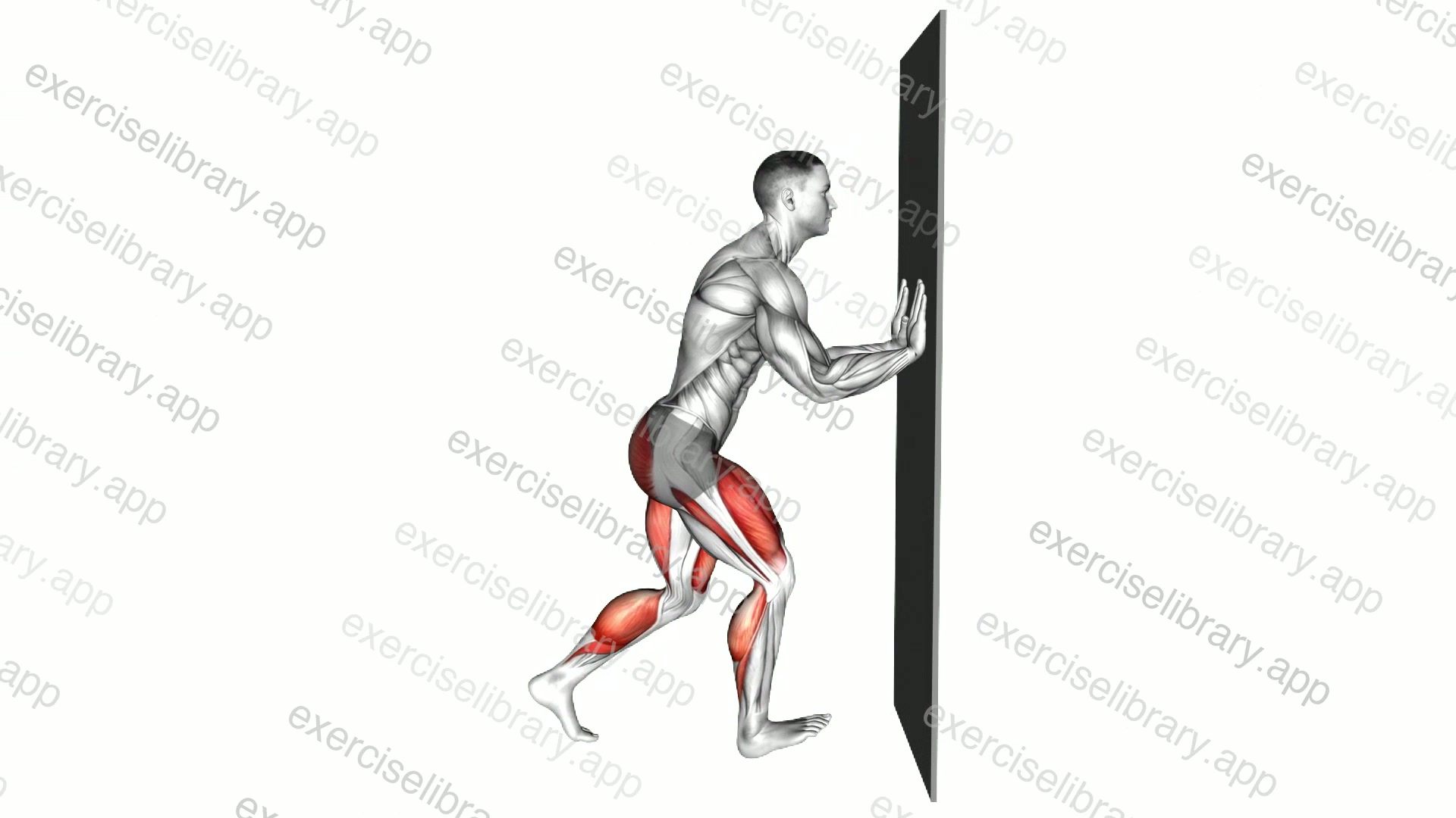 Narrow Lunge with Wall Supported demonstration