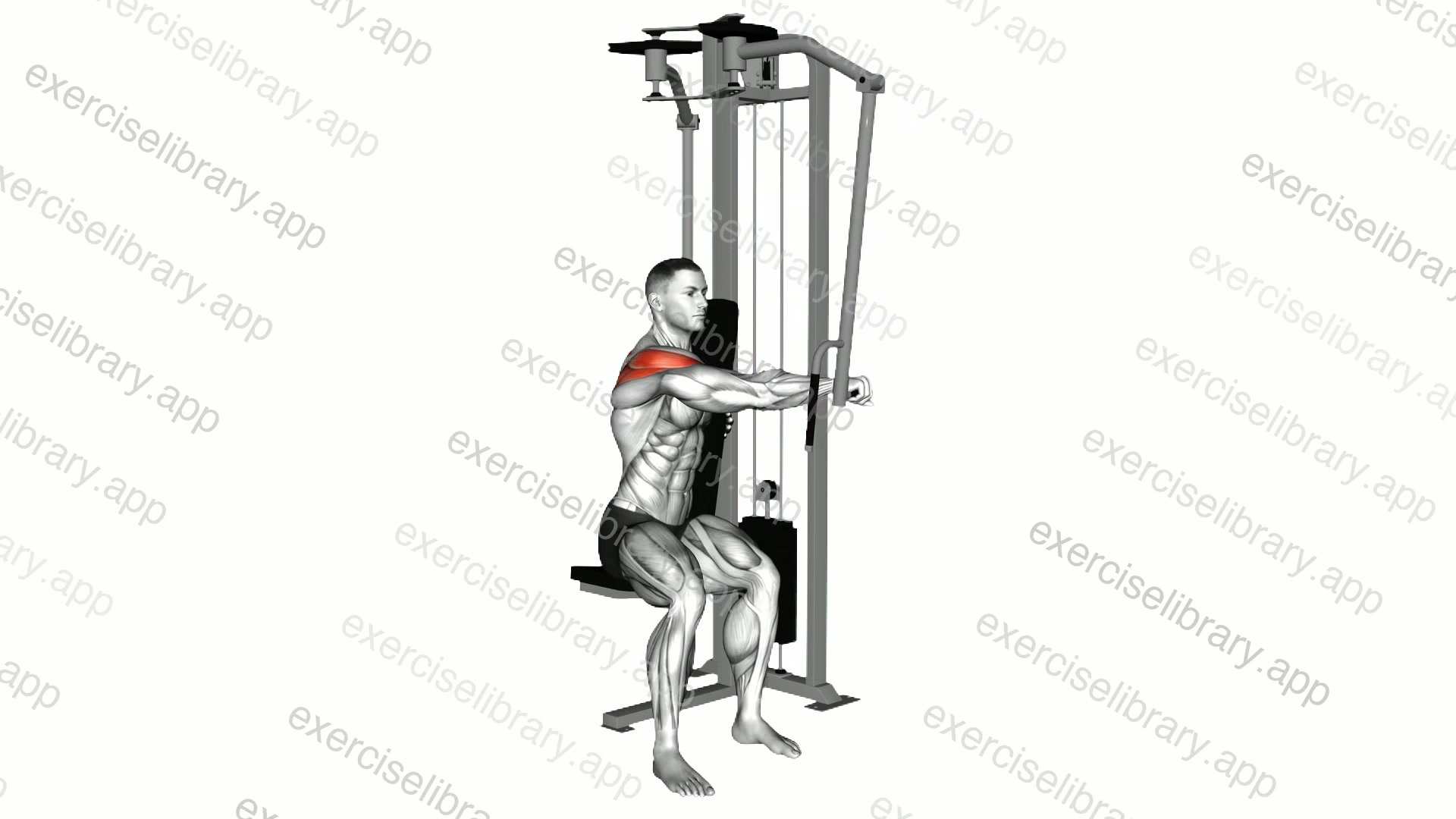 Lever Side Seated Single Arm Rear Delt Fly demonstration
