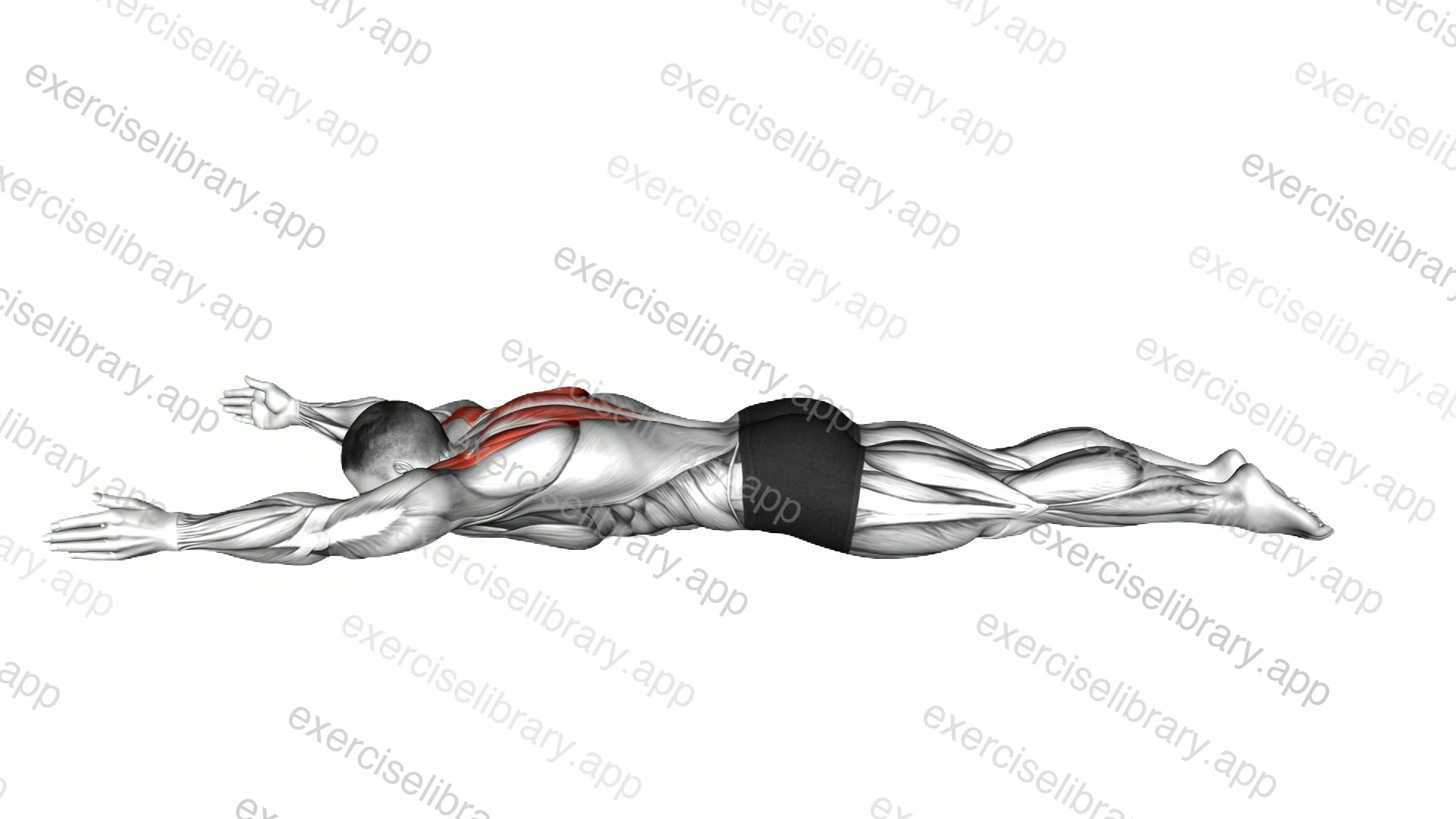 Lying Prone V Lift demonstration