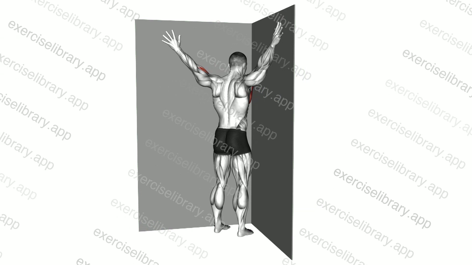 Coner Wall Chest Stretch demonstration
