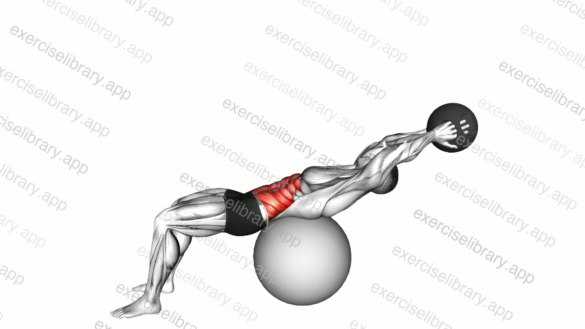 Medicine Ball Crunch on Stability Ball demonstration