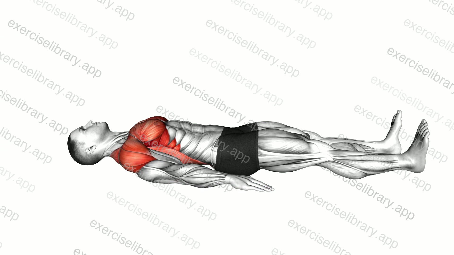 Lying Arms Slide demonstration