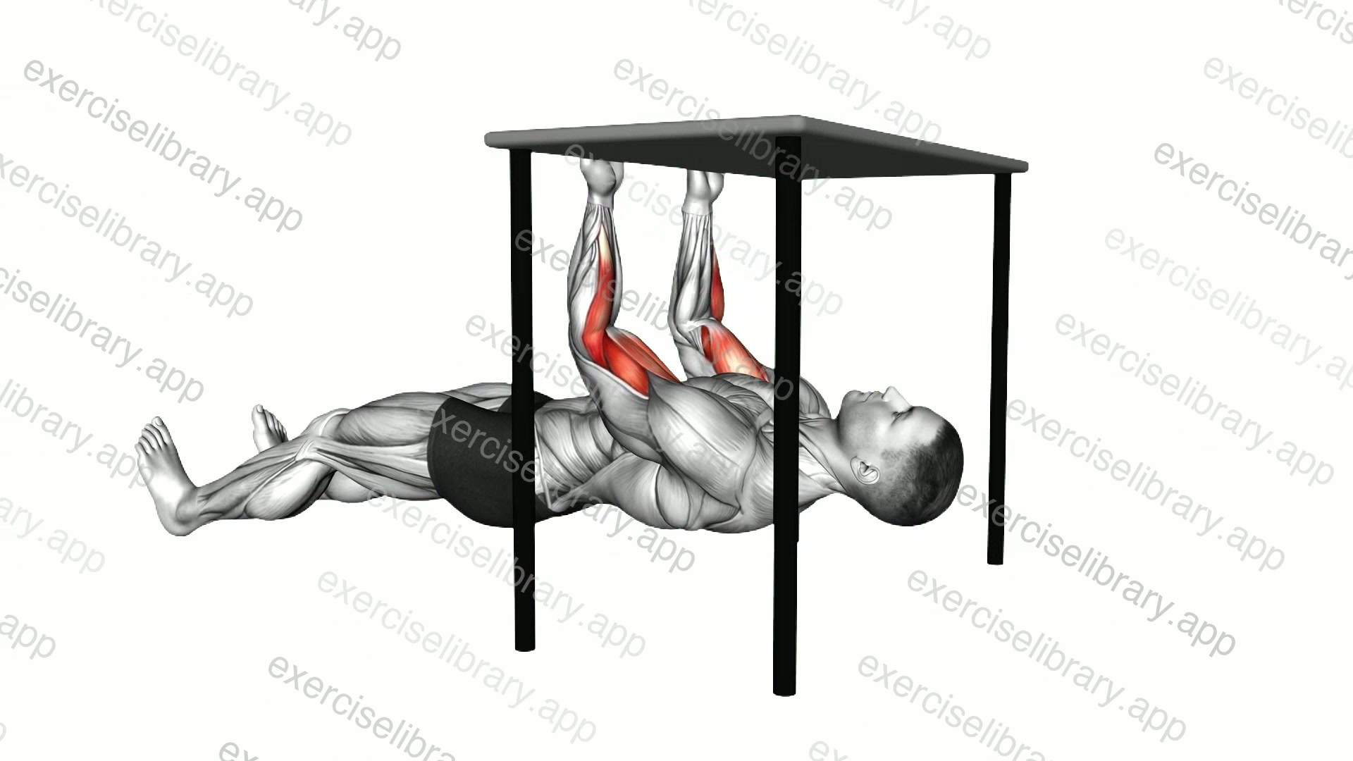 Biceps Table Row demonstration