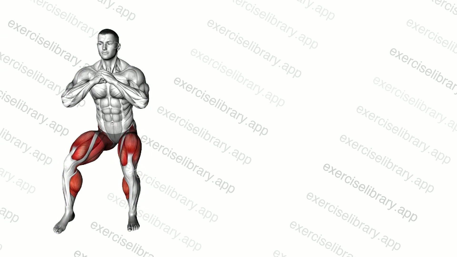 Bodyweight Squat Side Shuffle demonstration