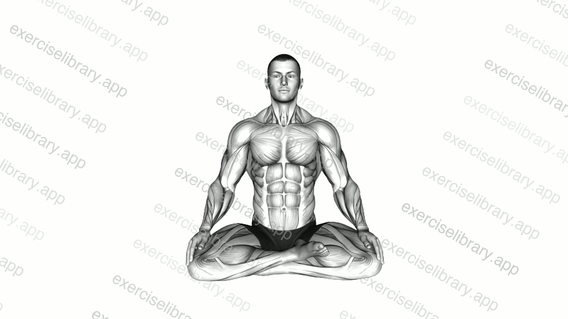 Sitting Lotus Rest Pose demonstration