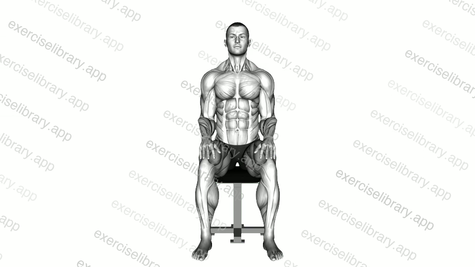 Sitting Rest Pose demonstration