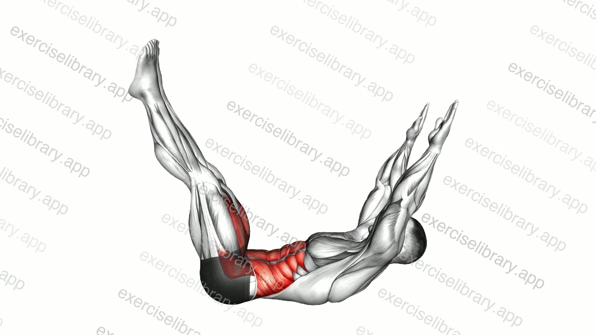 Lying Abdominal Scissors Crunch demonstration