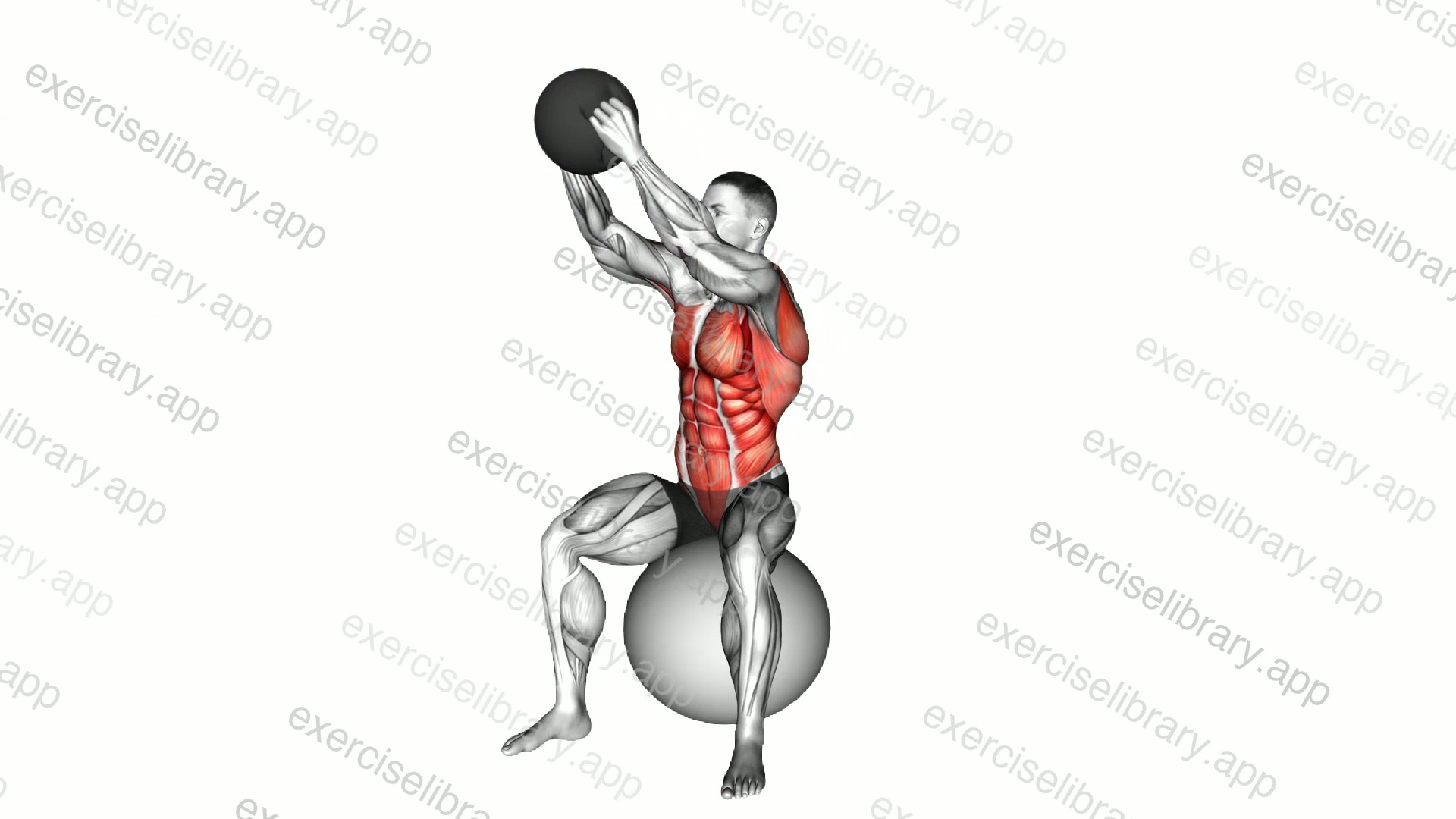 Sitting Woodchopper on Stability Ball demonstration