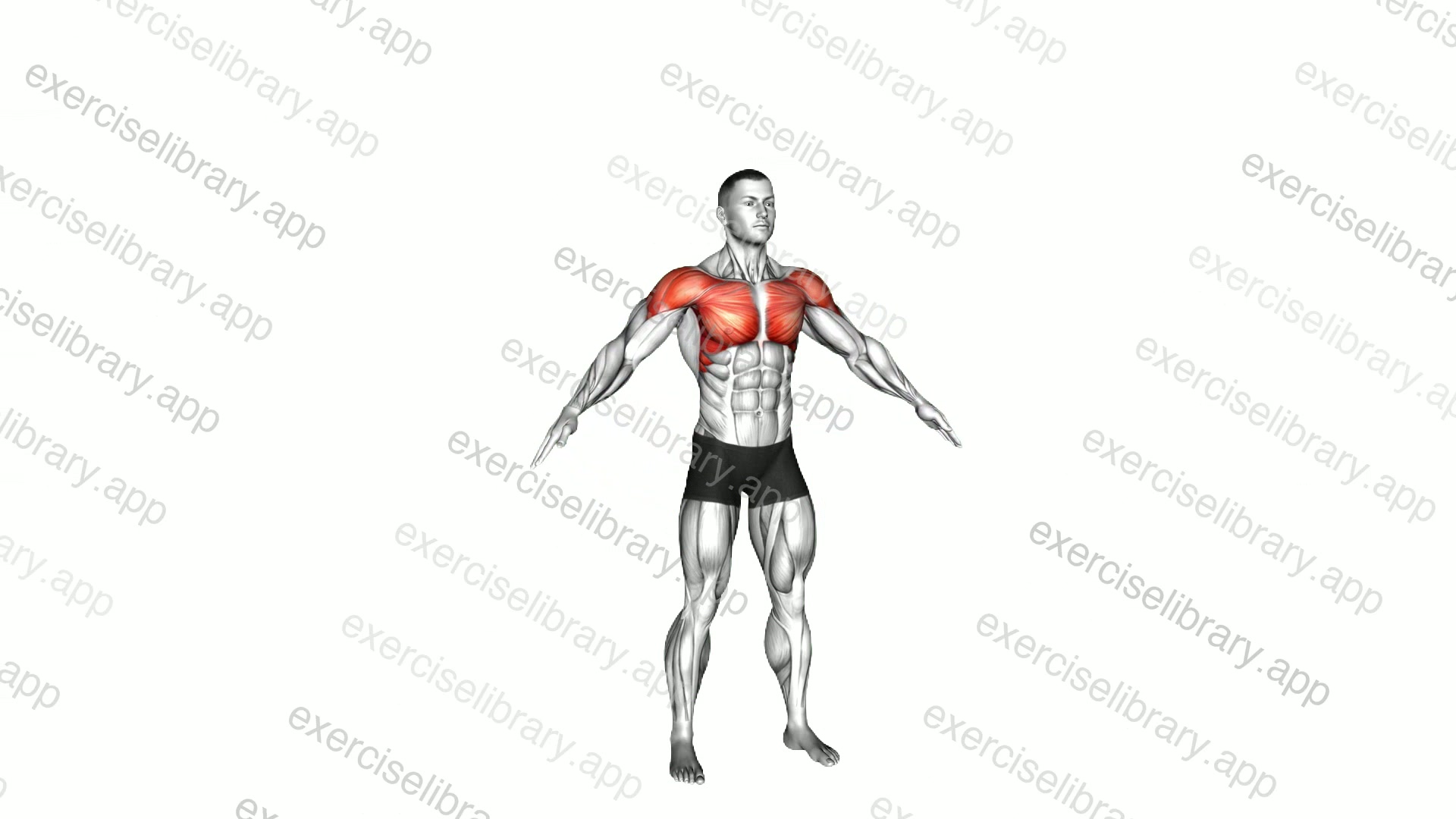 Standing Iron Eagle demonstration