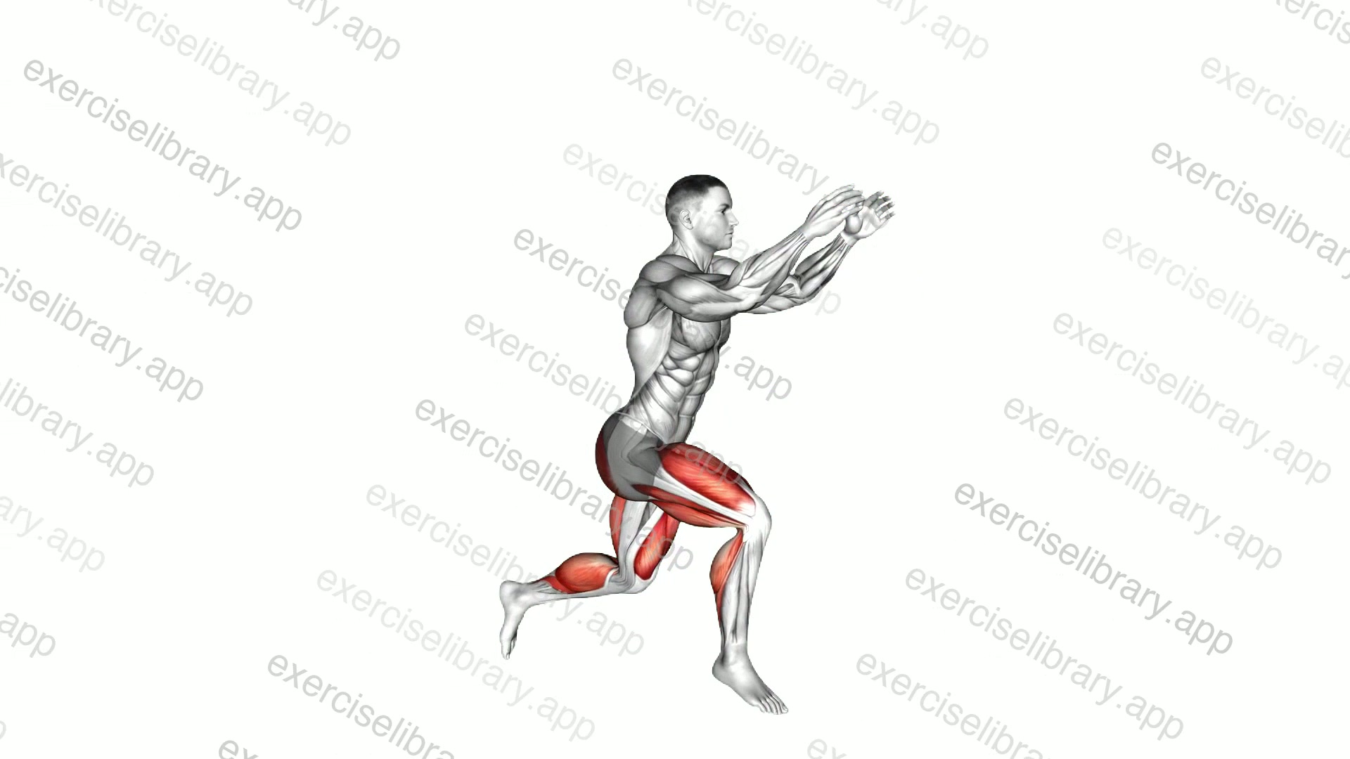 Swinging Arms Jump Split Lunge demonstration