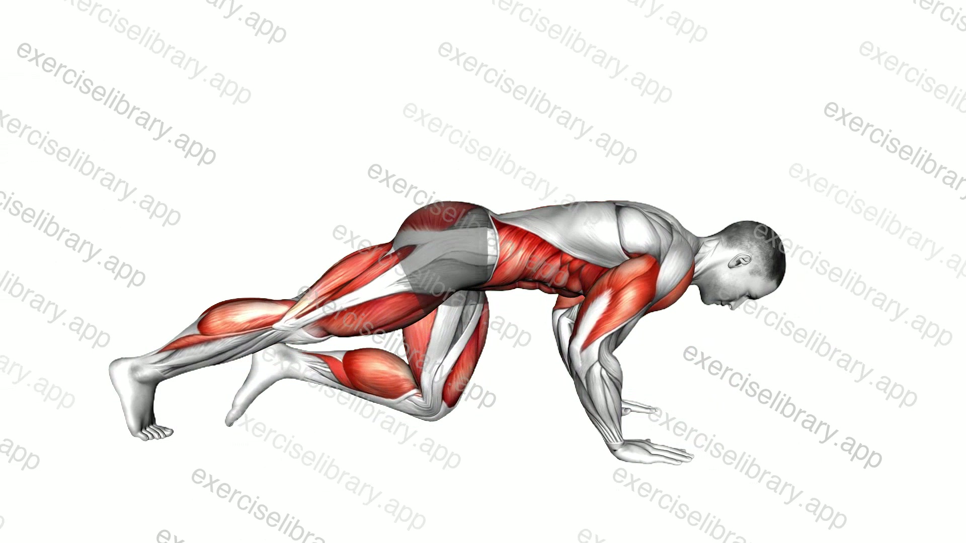 Push-up Mountain Climber demonstration