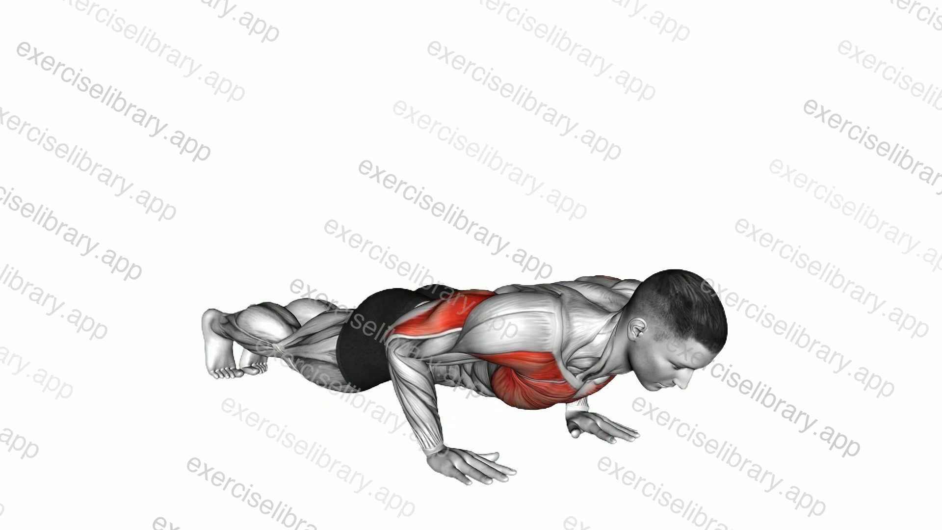Half Push-up Max Rep demonstration