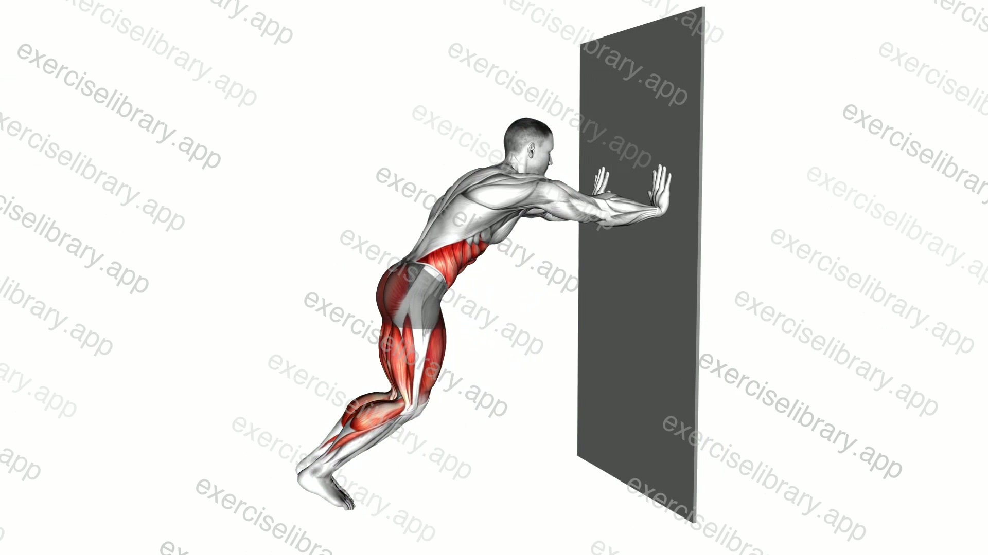 Sprint against Wall demonstration