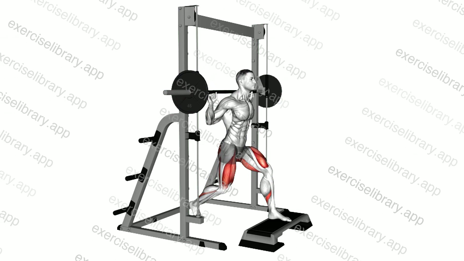 Smith Front Leg Elevated Split Squat demonstration