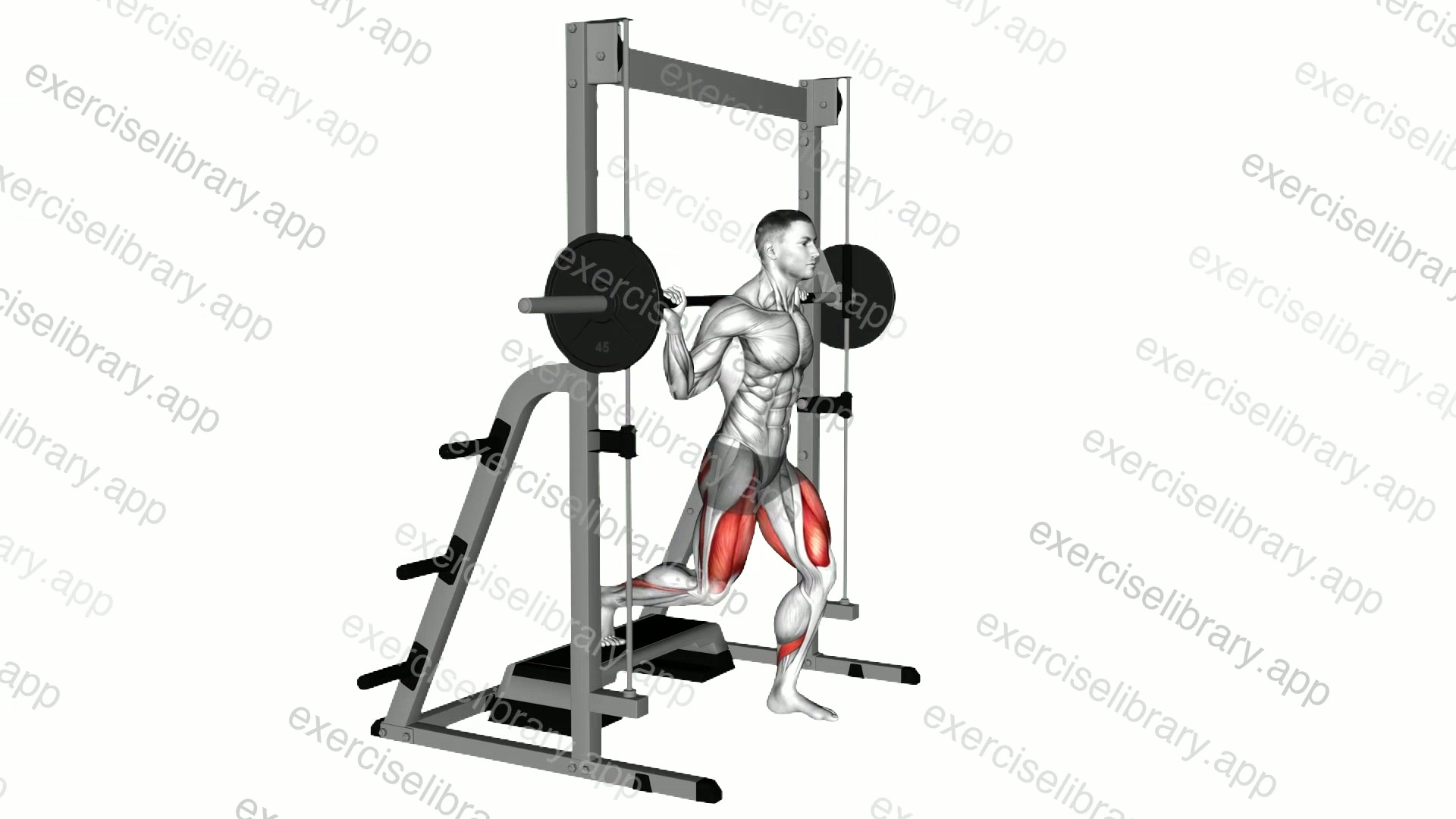 Smith Elevated Split Squat demonstration