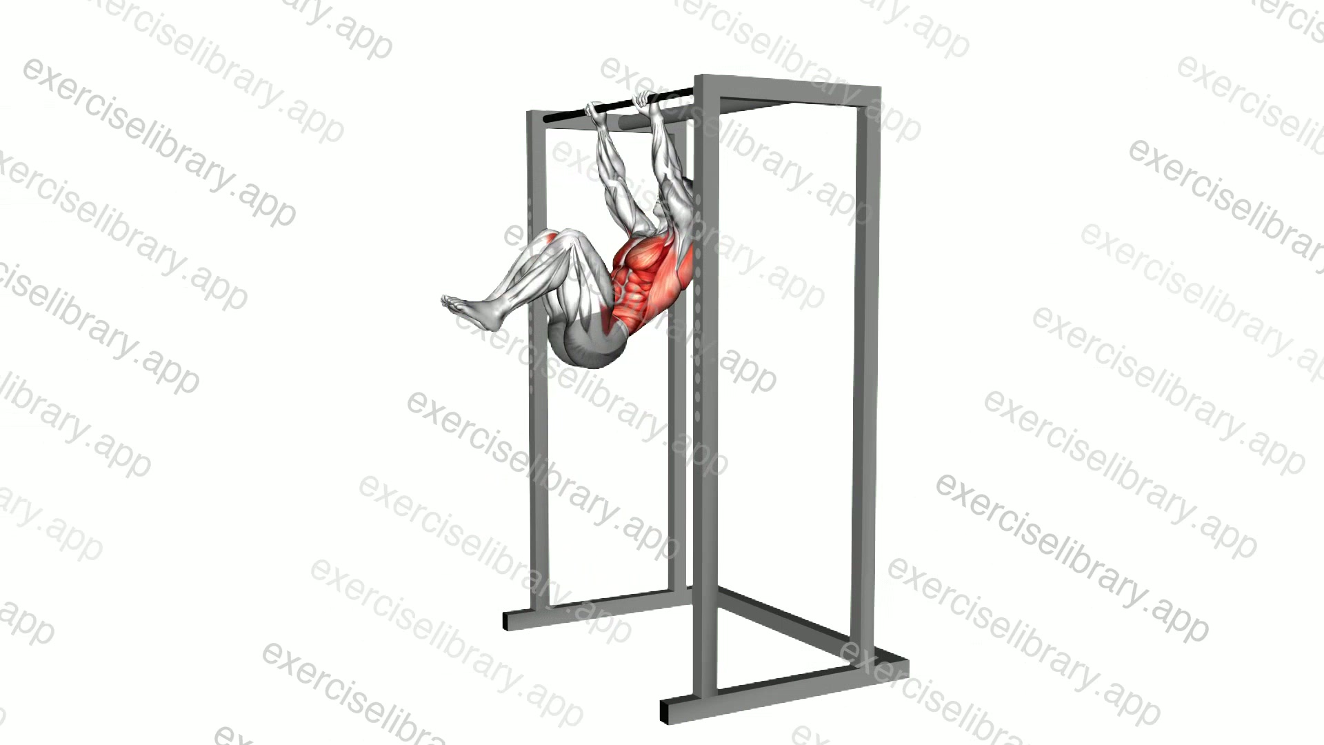 Hanging Tucked Front Lever Hold demonstration