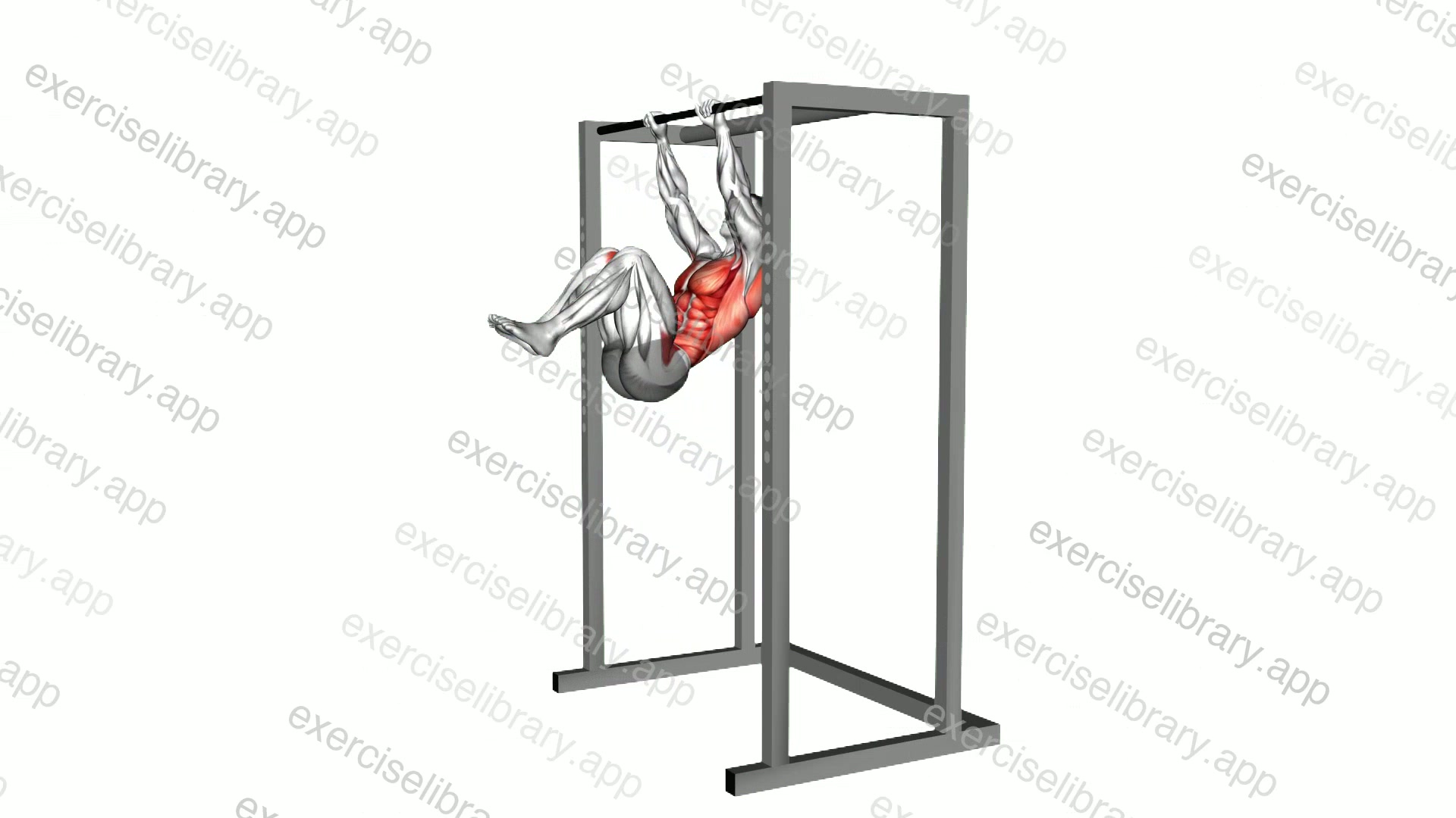 Hanging Advanced Tucked Front Lever Hold demonstration