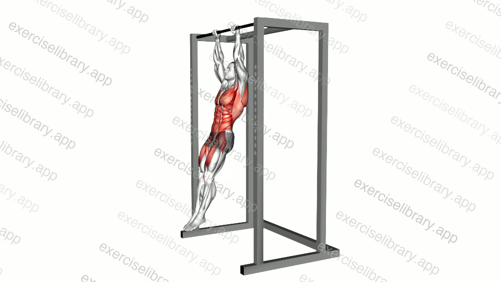 Hanging Front Lever Hold demonstration