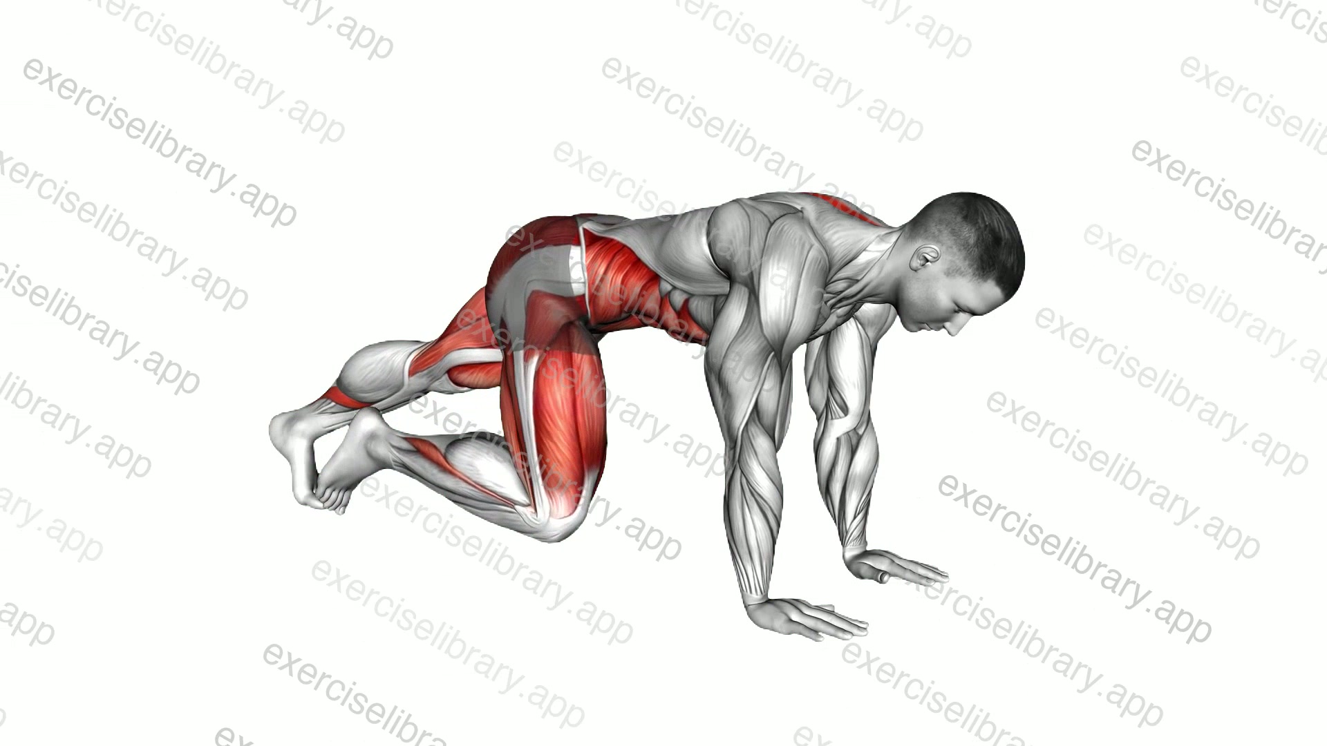 Mountain Climber Cross Kick demonstration