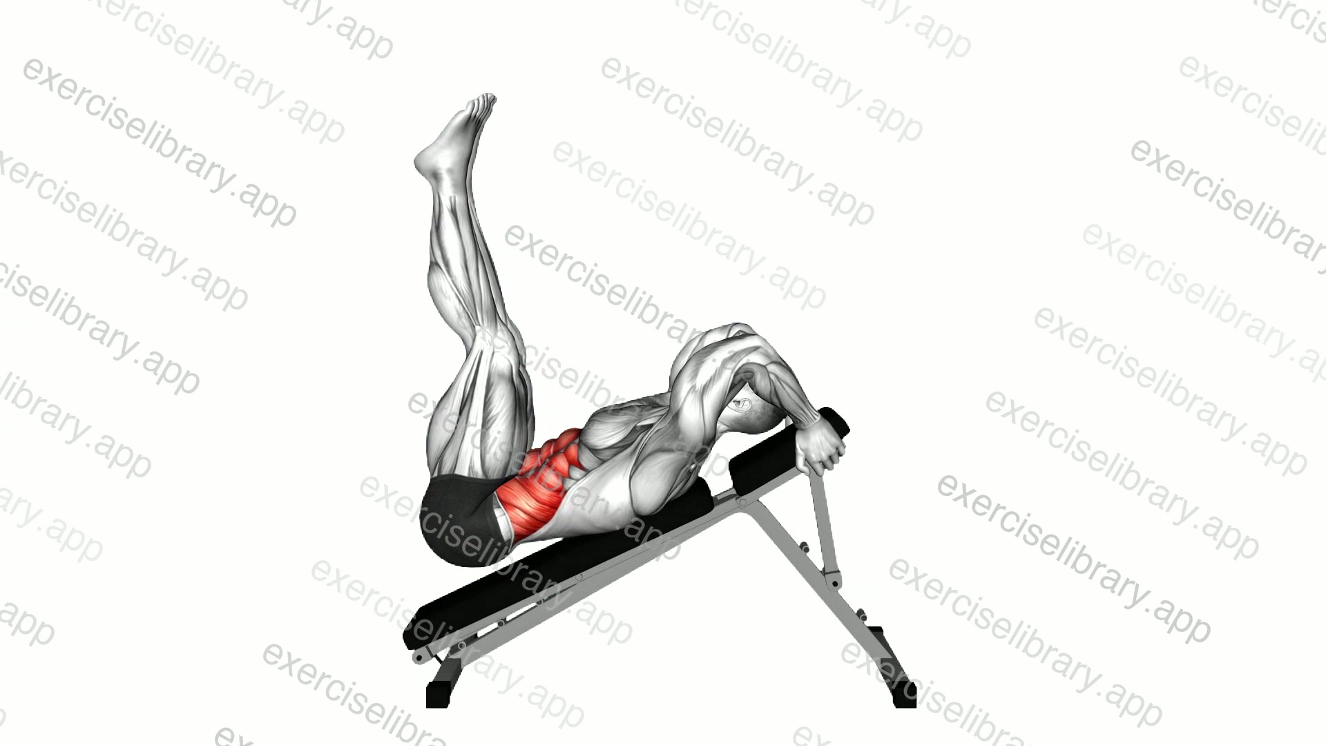 Incline Hip Raise demonstration