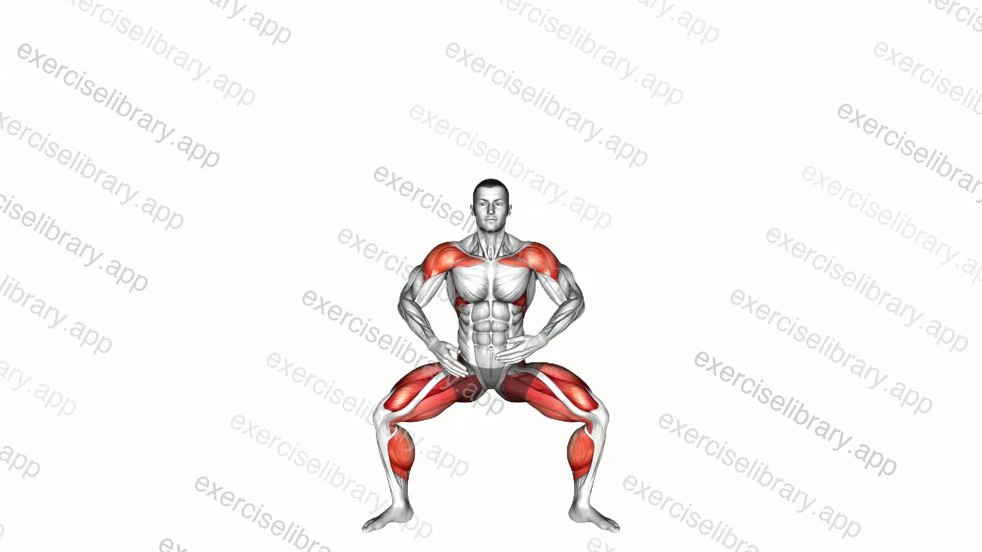 Deep Breathe Flaps Plyo Squat demonstration
