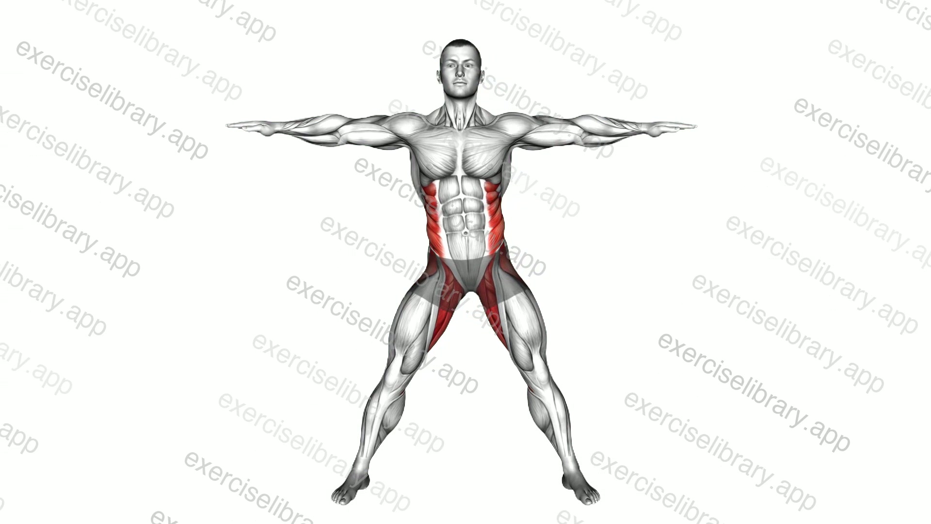 Standing Hip Horizontal Rotation demonstration