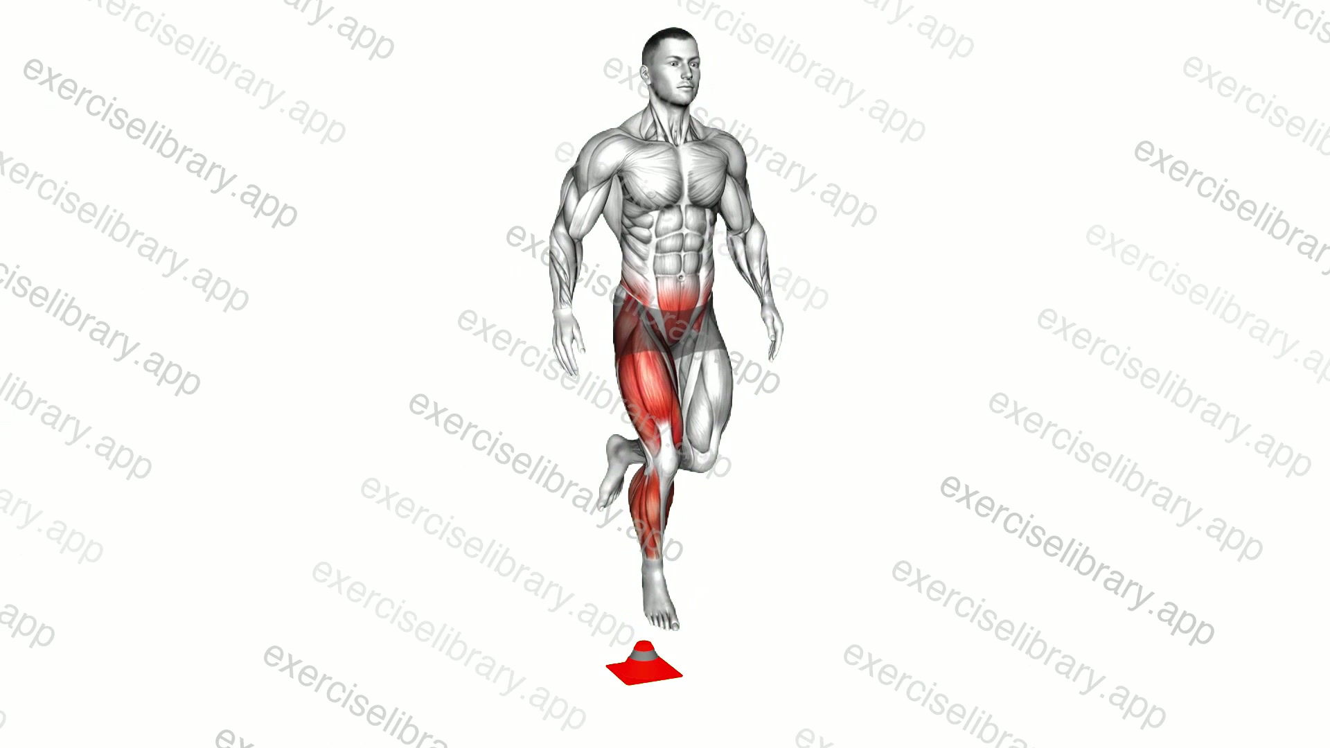 4 Way Single Leg Hop demonstration