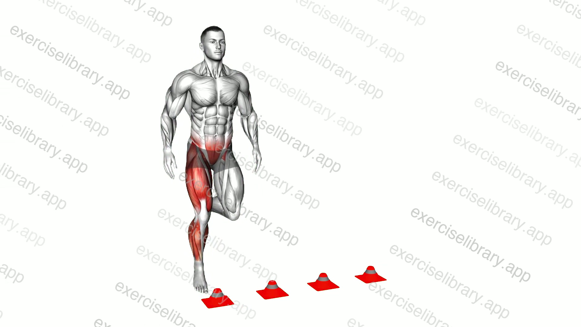 4 Cone Single Foot Lateral Hops demonstration