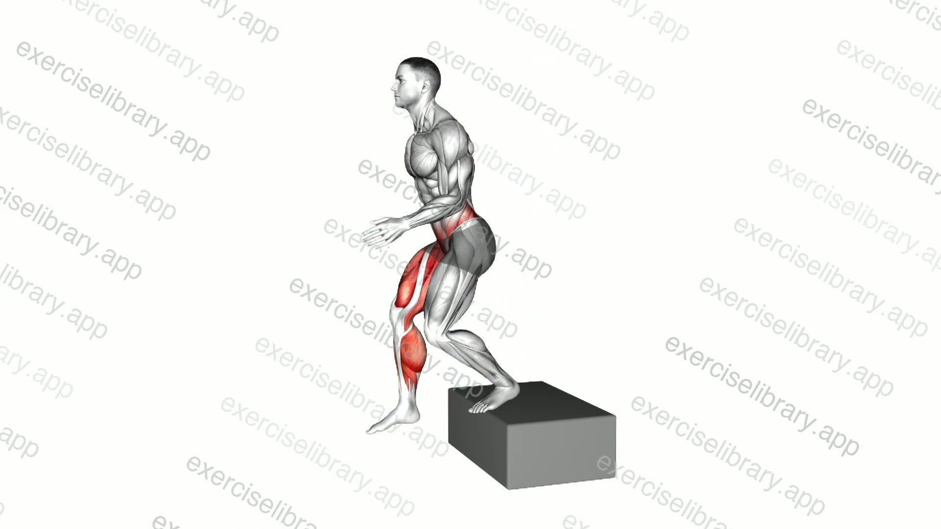 Box Drop to Single Leg Land demonstration
