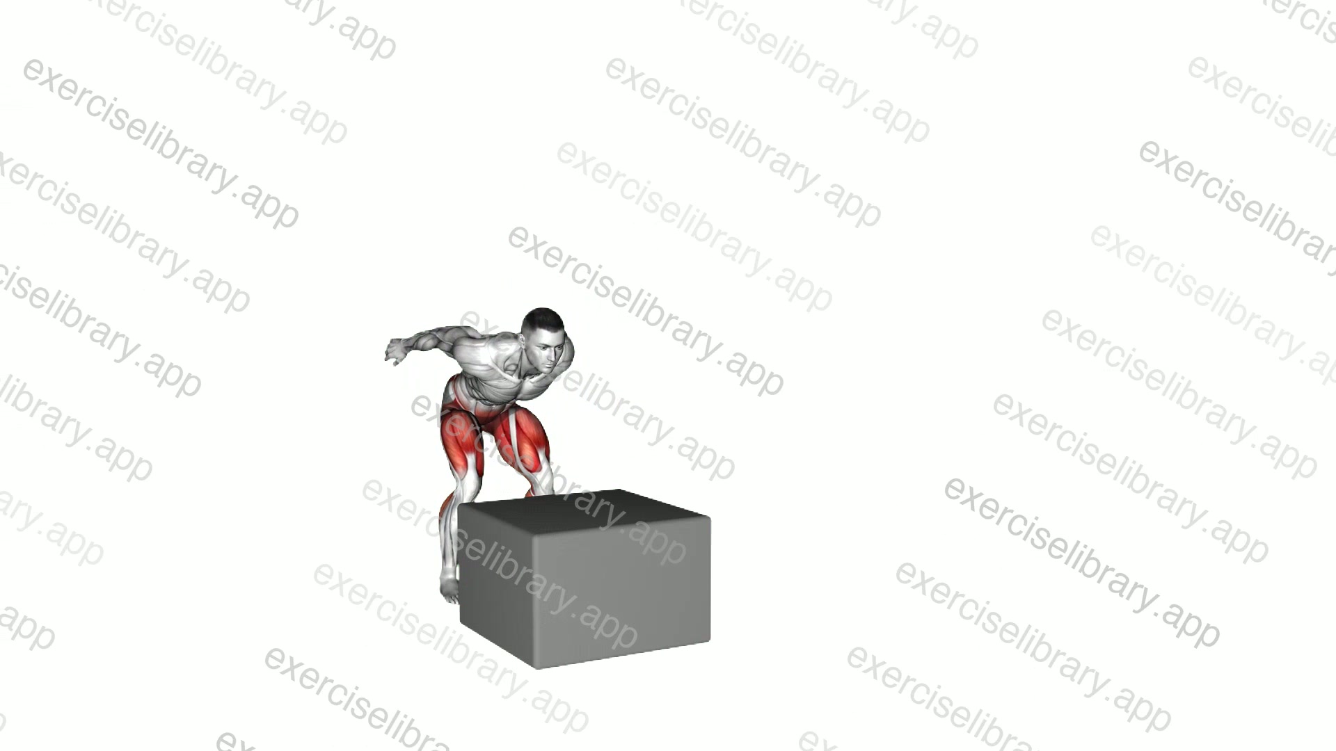 Box Drop Split Stance Land demonstration