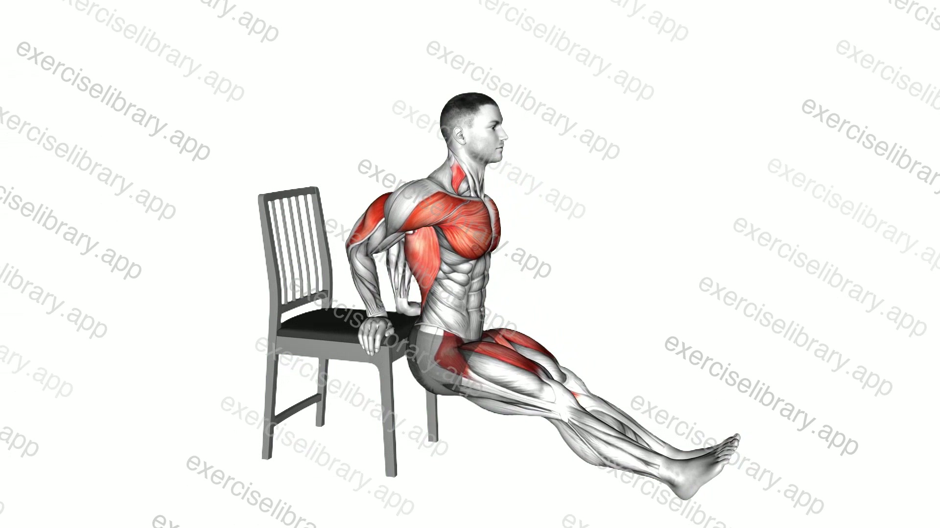 Sitting Dip and Leg Raise on a Chair demonstration