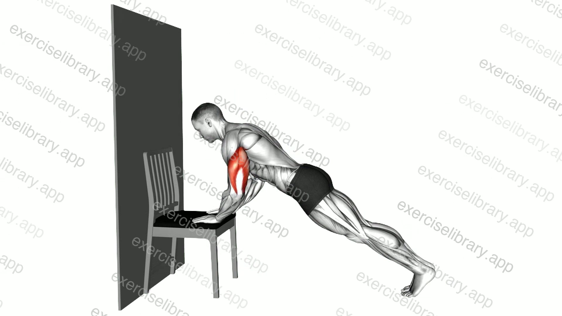 Push-up on a Chair demonstration