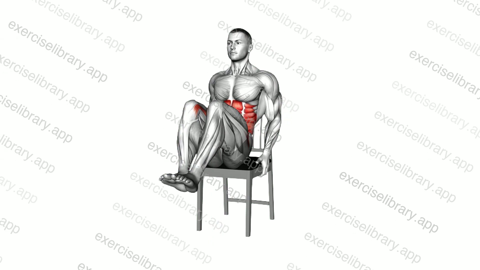 Sitting Knee Tuck on a Chair demonstration