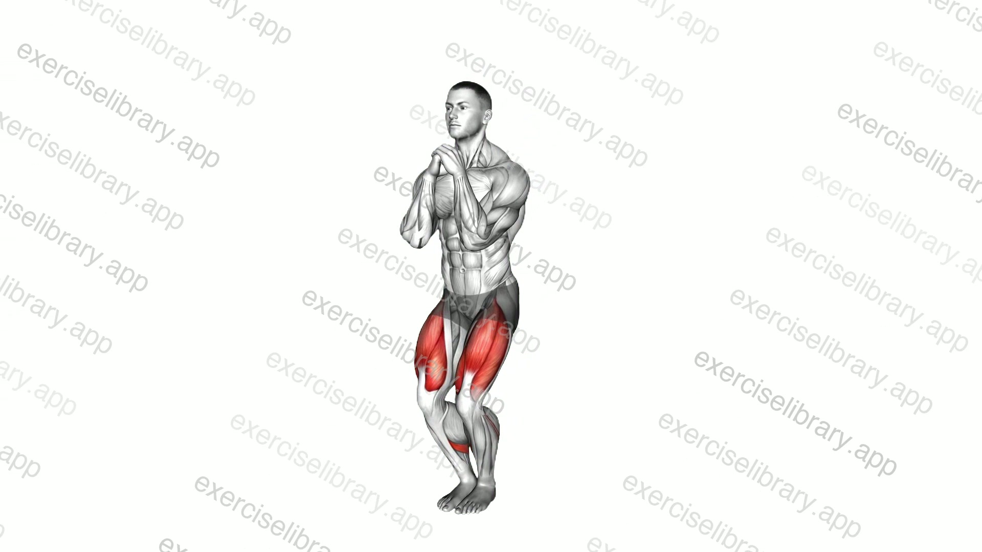 Close Stance Squat demonstration