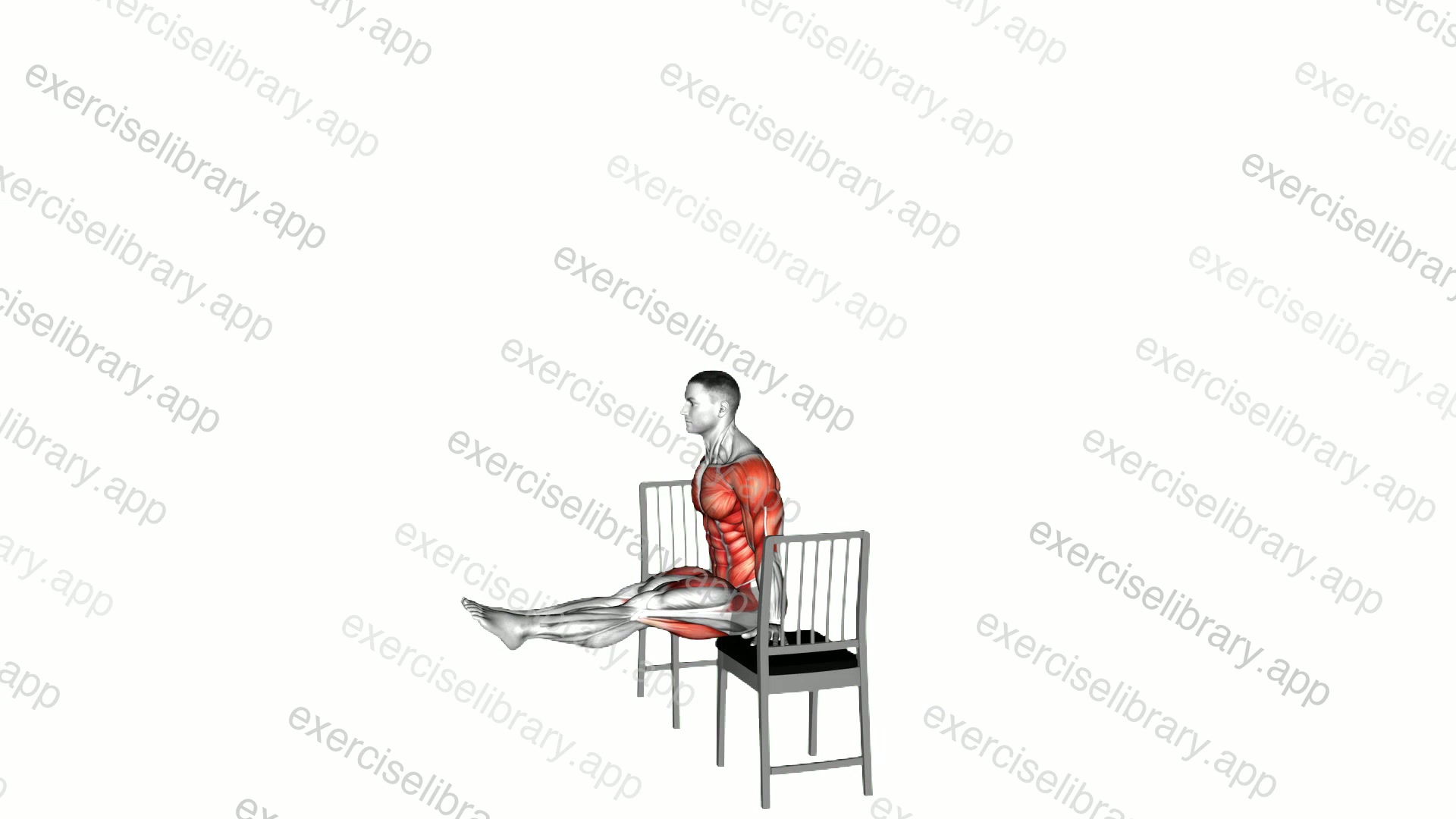 Planche on a Chair demonstration