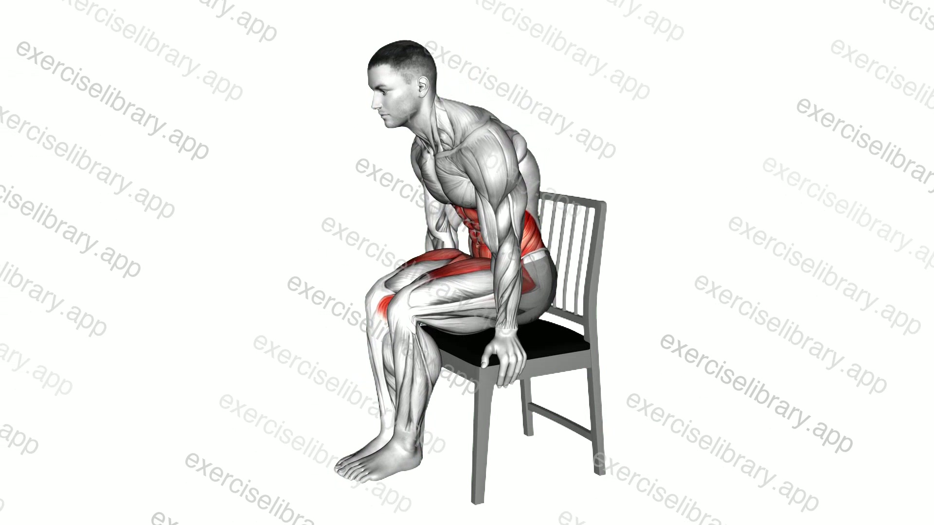 L Sit Legs Kick on a Chair demonstration